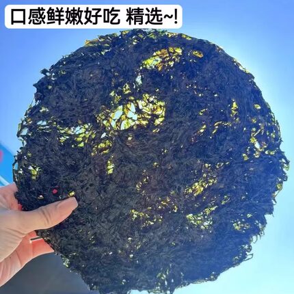 阳江特产头水紫菜天然爽口细滑无沙免洗嫩绿紫菜蛋花汤优质紫菜片