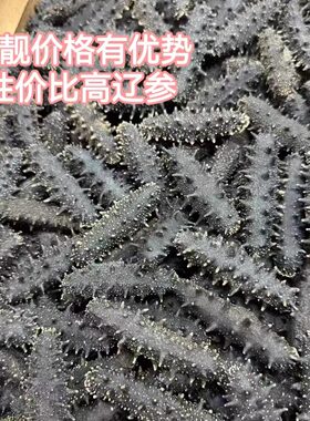 精选优质海参天然疗伤煲汤美食