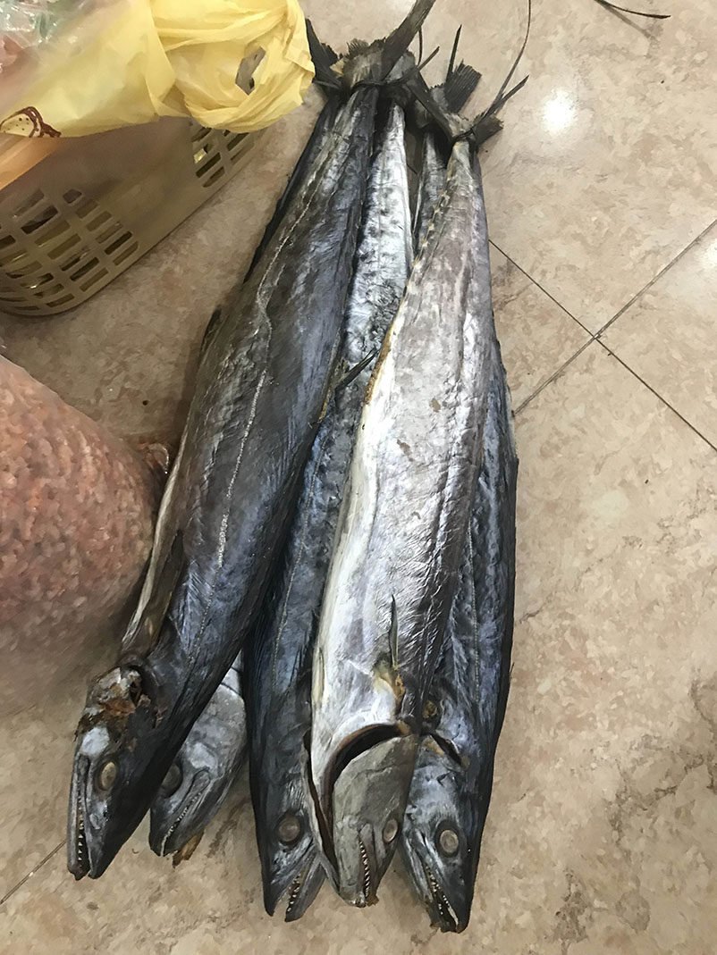 阳江海陵岛船晒深海马鲛鱼干马胶鱼补钙增强体质称重下单咨询改价