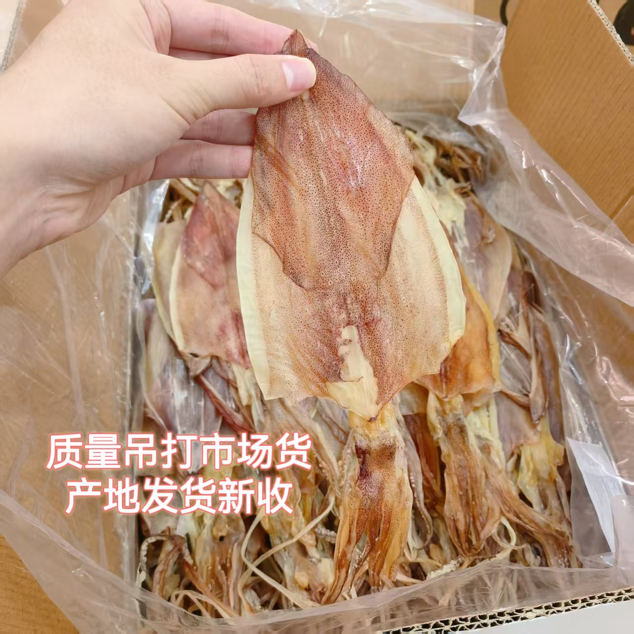 船晒水晶尤鱿鱼干淡干 鱼干手撕鱿鱼海产干货炒菜煲汤鲜甜无添加