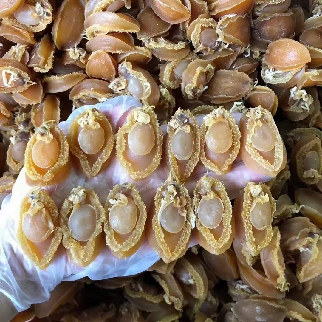 大号鲍鱼干精选品质野干鲍