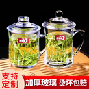 青苹果加厚耐热玻璃带盖茶饮把杯子办公家用大容量喝水杯泡茶杯
