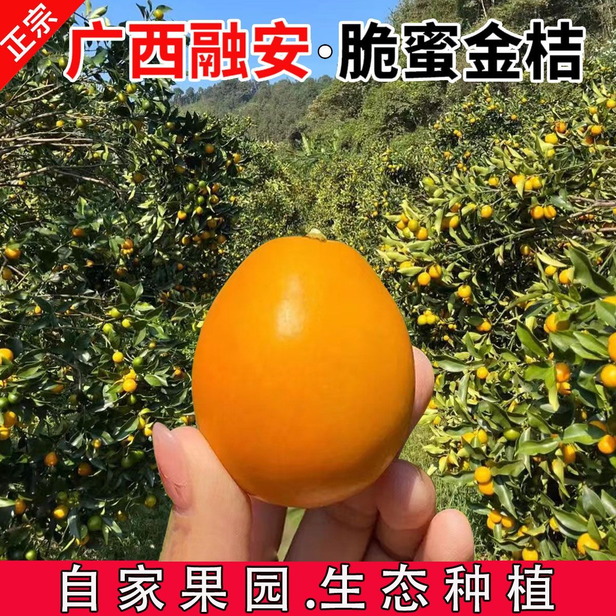 纯甜无酸融安滑皮金桔