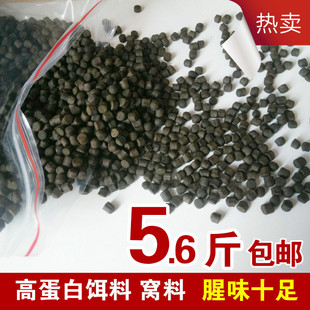 浓腥鲟鱼鲤鱼虹鳟草鱼垂钓打窝饵料颗粒快速诱鱼慢速下沉快速