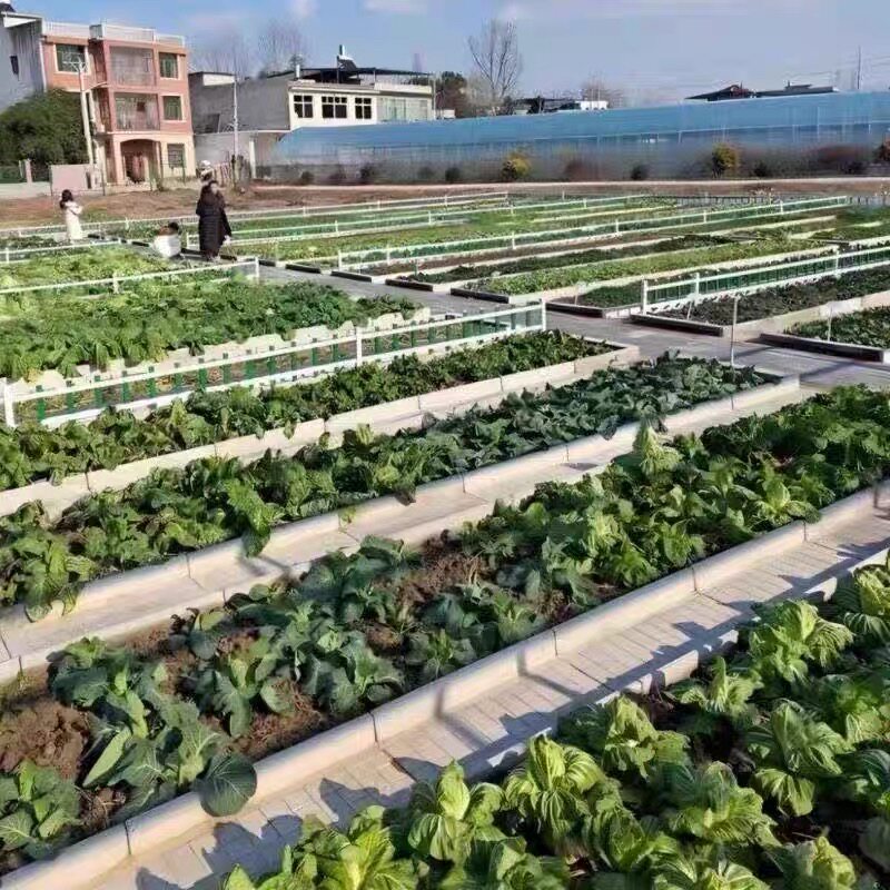 新型田园菜沟板庭院设计