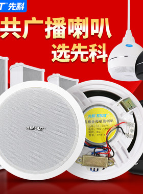 SAST先科吸顶喇叭广播壁挂吊球