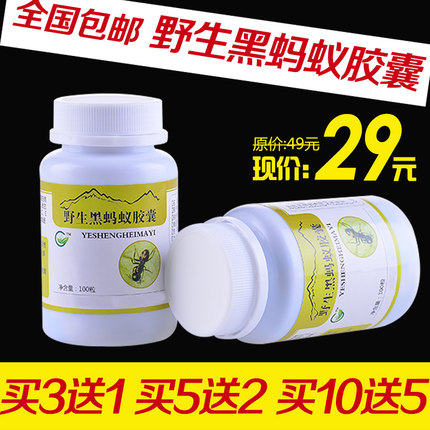 东北野生黑蚂蚁粉干蚂蚁代装胶囊 关节骨病克星风寒湿热特产100粒