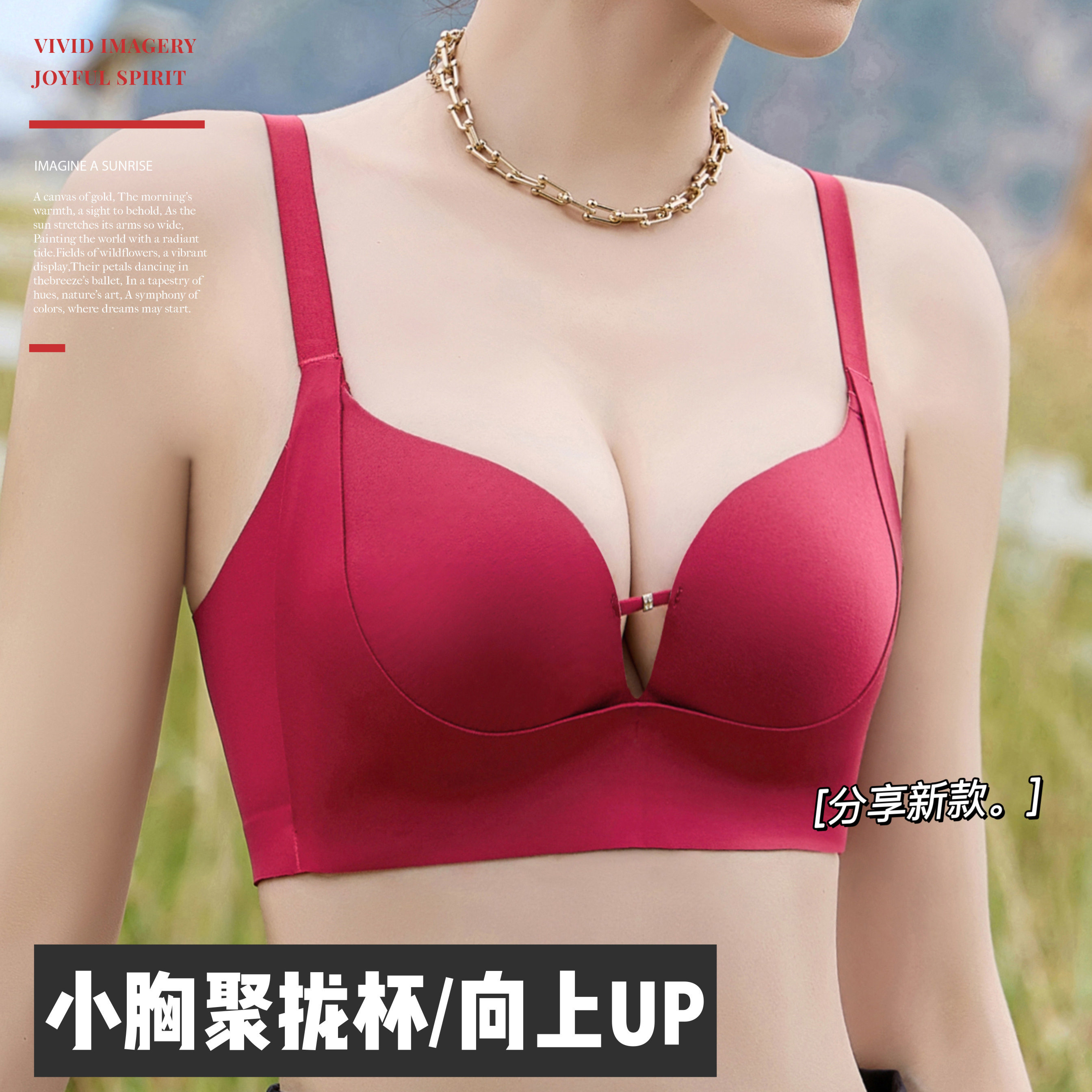慕暮色天使双层提拉乳胶内衣女小胸聚拢显大性感美背调整型文胸罩