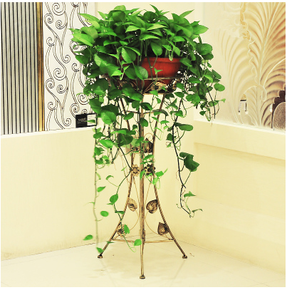 定制大绿萝盆栽大盆垂吊室内客厅卧室长藤大叶绿萝净化空气吸甲醛