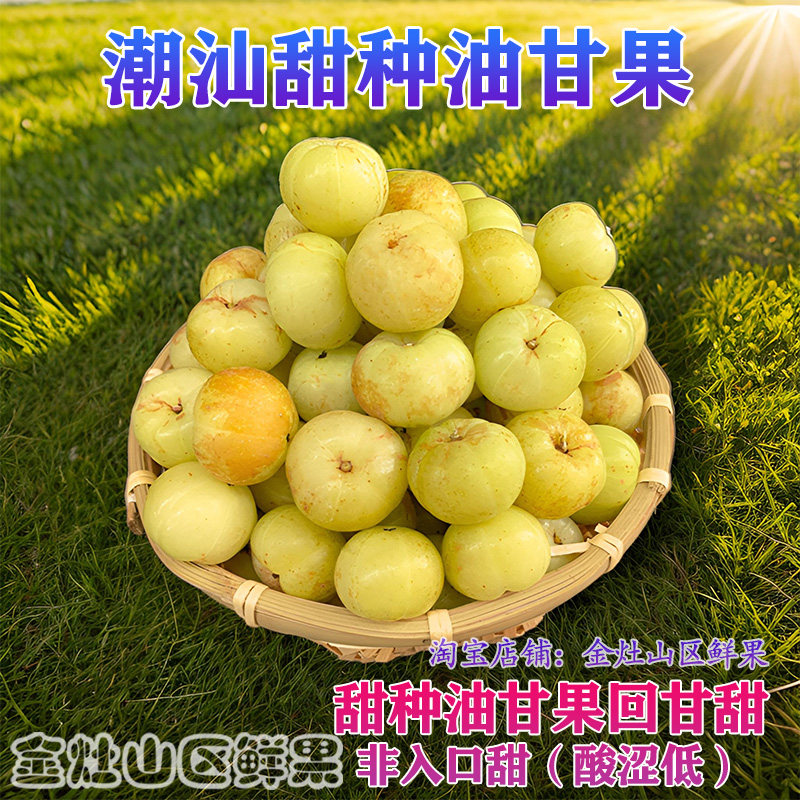 油柑鲜果油甘果新鲜油甘果牛甘余甘果油甘果潮汕油甘子油柑滇橄榄