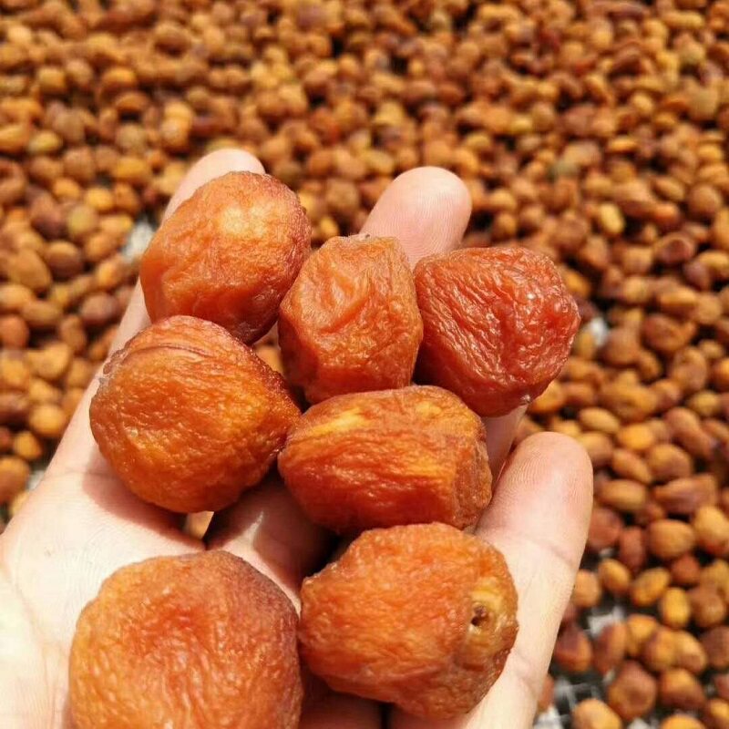 新疆特产阿克苏树上自然干小红杏干500克袋装包邮 - 实物图