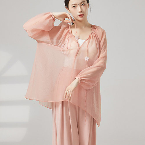 现代古典舞宽松套头罩衫飘逸后开叉演出服成人练功舞蹈服网纱上衣