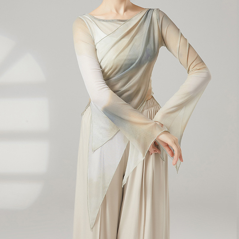 中国古典舞飘逸纱衣练功服斜角仙气网纱上衣学生印花舞蹈演出服装