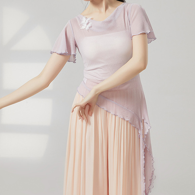 古典现代舞短袖纱衣练功服荡领银线网纱舞蹈服学生飘带斜角演出服