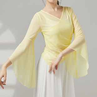 中国古典舞练功服长袖 纱衣 网纱上衣飘逸V领瑜伽形体服学生喇叭袖