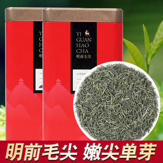 信阳绿茶毛尖2024新茶特级河南原产明前散装茶叶罐装500g一芽一叶