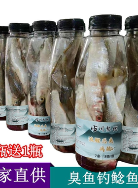发酵臭鱼独钓巨物鲶鱼