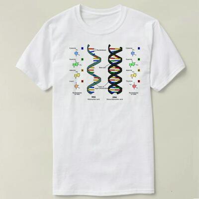 Biology生物DNATheor