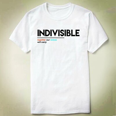 IndivisibleTogetherOurVoicesWillCarryT-ShirtT恤衣服