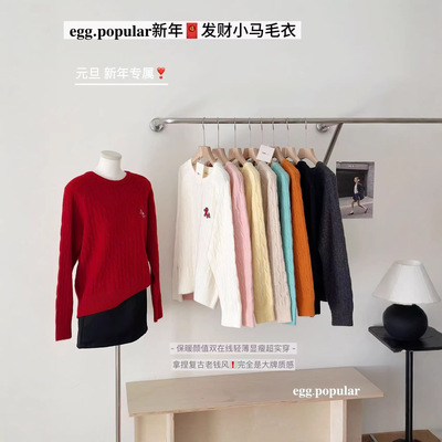 egg.sdfgh新年发财小马毛衣女秋冬宽松套头针织衫纯色显瘦打底衫