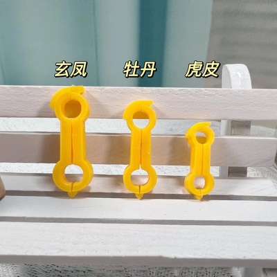 鹦鹉矫正环鸟类八字脚矫正器