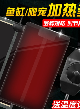 爬宠加热垫小型控温恒温守宫乌龟蜥蜴蛇角蛙饲养盒加温垫