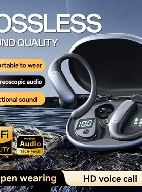 AI Translation Earphones Bluetooth Earbuds Headphones