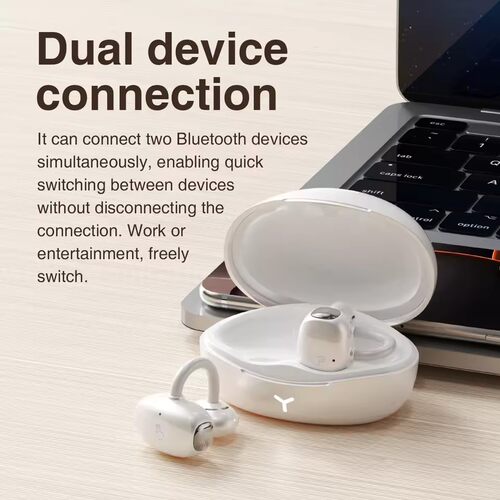 Earclip style true wireless Bluetooth earphones  Earbuds