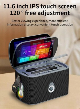 BT Karaoke Machine with 2 Wireless Microphones Rechargeable Home KTV for Party Singing