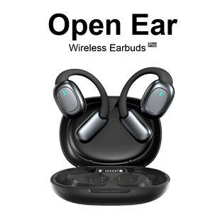 OWS Ear hook Earphones i51 Noise Cancellation  earbuds