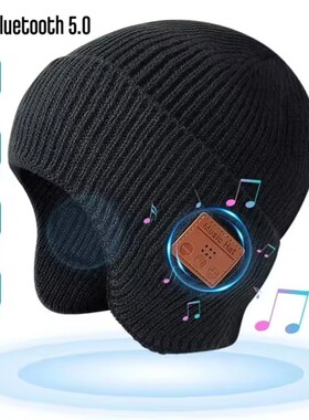 Music Hat Winter Windproof Music Cap 5.0 Bluetooth Headphone