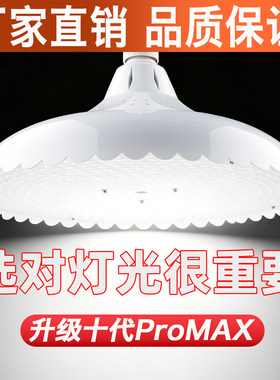 新国标LED白光灯猪肉熟食照明灯