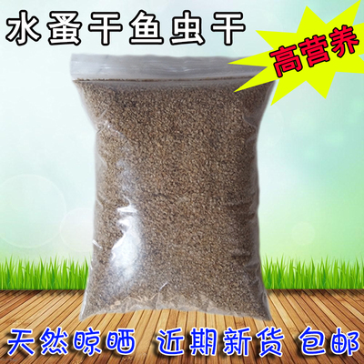 天然水蚤小型包邮热带鱼