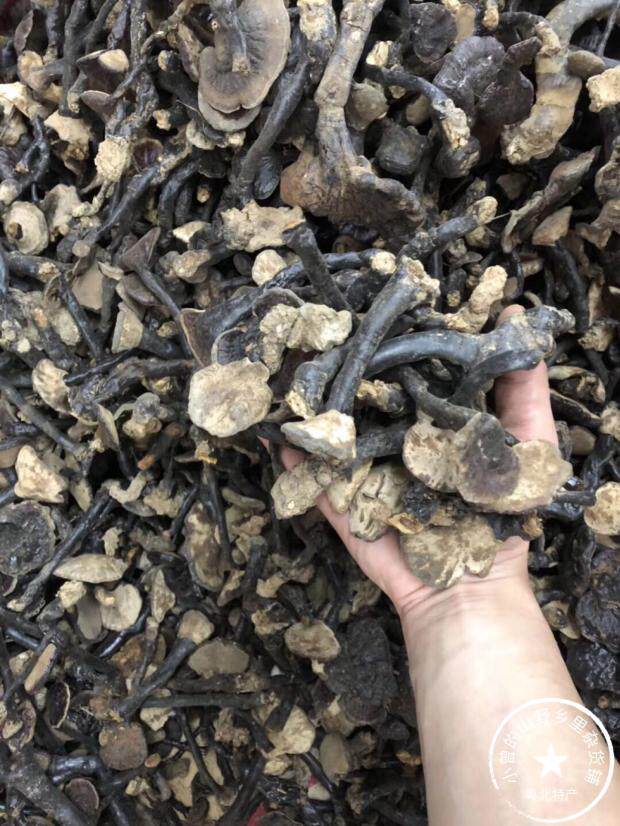 纯野生灵芝整枝泡茶黑芝林芝干货泡酒250g可切片打粉韶关粤北特产