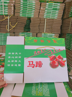 批发零售5斤装马蹄箱 无地名可全国通用荸荠包装盒空盒子礼品盒
