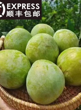 顺丰包邮广东乐昌九峰山绿宝石黄金青奈李子新鲜水果蜂蜜冰糖李子