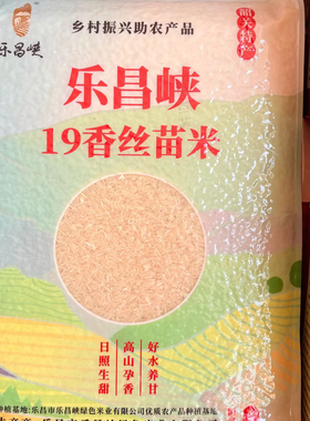 正宗乐昌峡19香丝苗米袋装5kg 韶关特产长粒香米煲仔饭炒饭新米