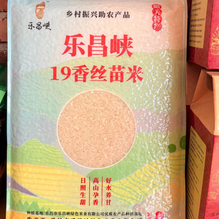 正宗乐昌峡19香丝苗米袋装5kg 韶关特产长粒香米煲仔饭炒饭新米