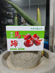 批发乐昌北乡马蹄纸箱十斤装五层特厚防水马蹄箱马蹄礼盒快递包装