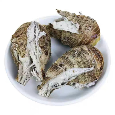 韶关乐昌张溪炮弹新鲜小芋头香芋槟榔芋小毛芋仔芋艿蔬菜广东粉糯