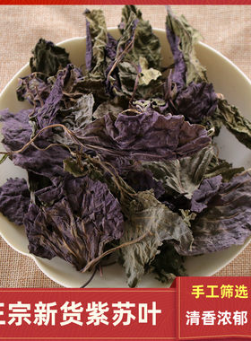 正宗紫苏叶干新鲜干货