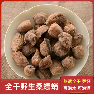 中药材桑螵蛸正品桑膘销桑膘硝桑飘蛸野生螳螂子螳螂卵鞘巢刀螂子