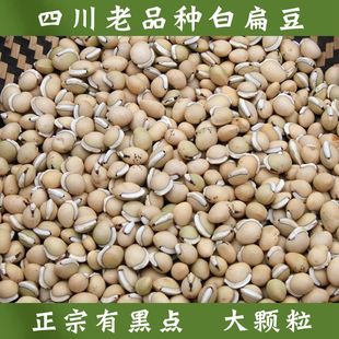 箐山中药材白扁豆四川黑眉扁豆生白扁豆药用白扁豆黑边500克 包邮