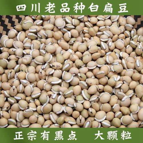 四川黑眉白扁豆药用黑边500克