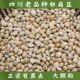 箐山中药材白扁豆四川黑眉扁豆生白扁豆药用白扁豆黑边500克 包邮