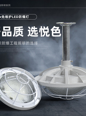 LED防爆灯工矿灯100W隔爆型仓库厂房照明灯防爆灯加油站吊灯灯罩