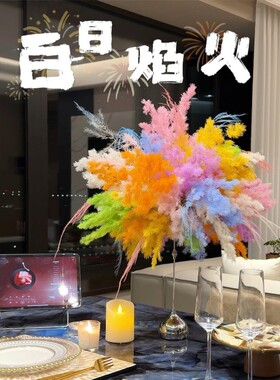 白日焰火白日烟花永生花蓬莱松家居材料干花diy真花束高级感花材