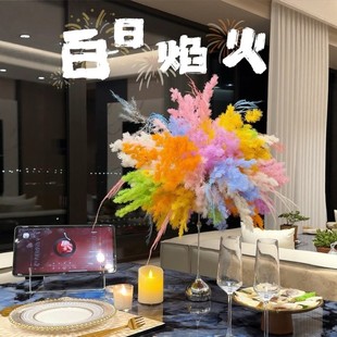 白日焰火白日烟花永生花蓬莱松家居材料干花diy真花束高级感花材
