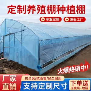 种植大棚支架全套骨架蔬菜育苗棚温室养殖大棚一整套钢架鸡棚猪棚