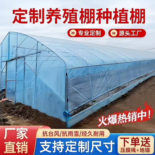 种植大棚支架全套骨架蔬菜育苗棚温室养殖大棚一整套钢架鸡棚猪棚